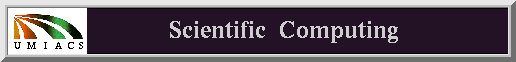 Scientific Computing