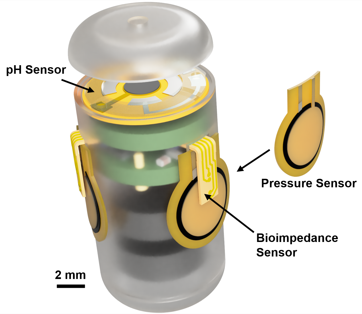 iteration of the smart pill capsule