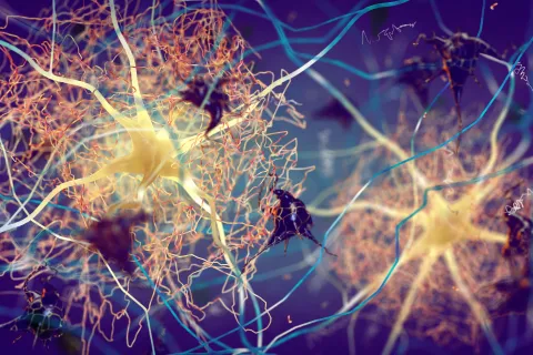 graphic showing glowing, colourful neurons