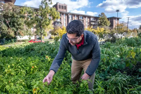 Ryan Blaustein at Bladensburg's Eco City Farms 