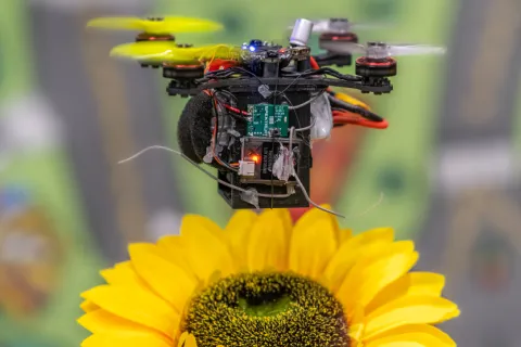 drone hovering over fake flower