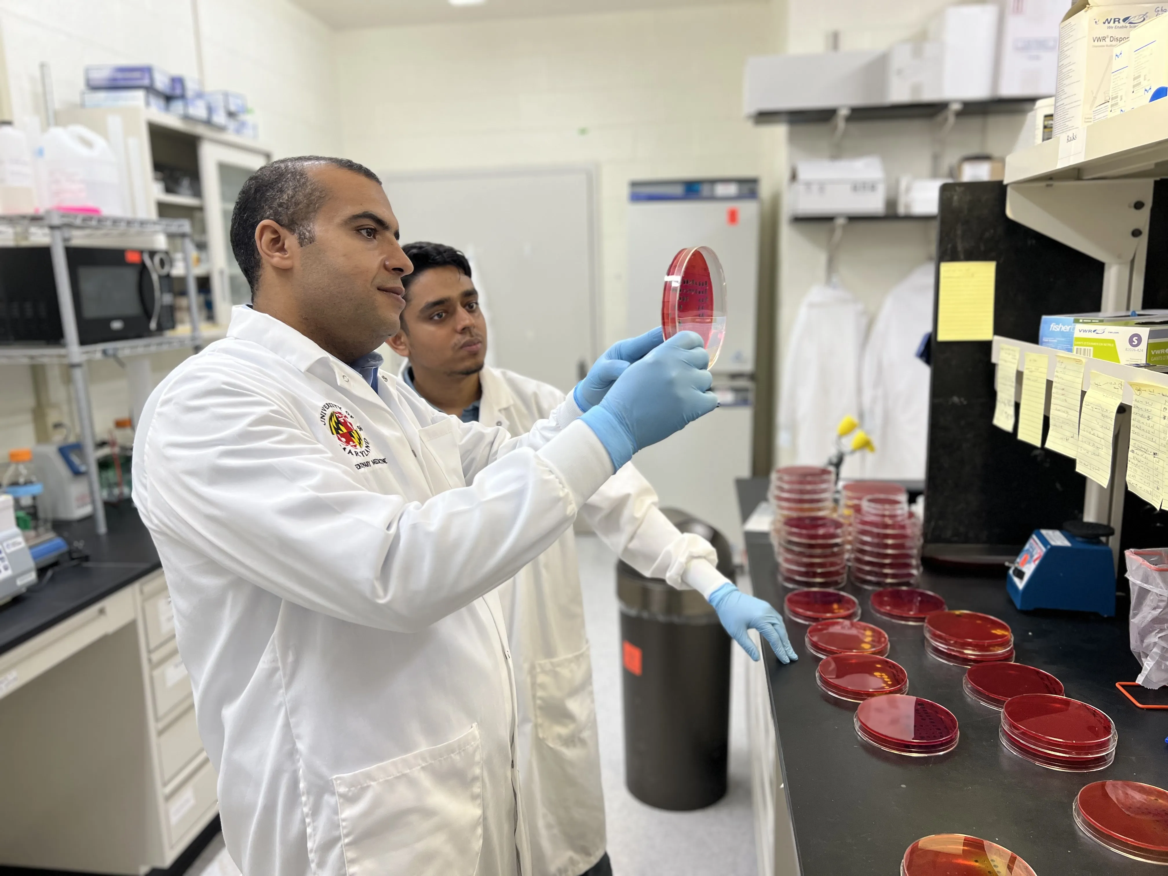 two researchers in white lab coats looking at petri dishes