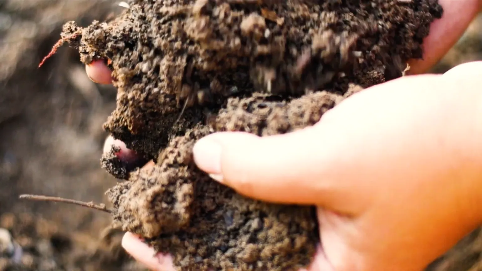 hands holding soil