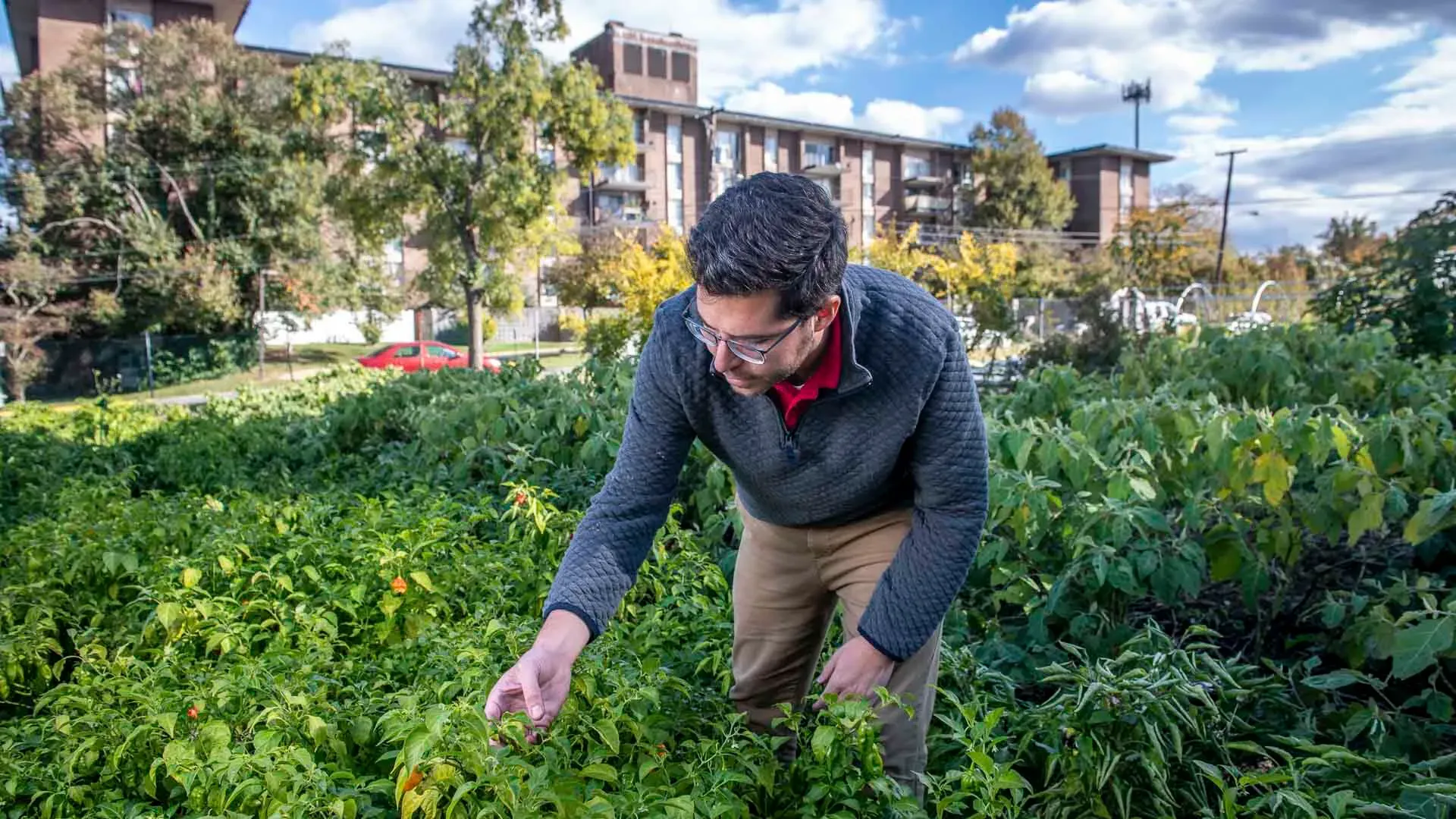Ryan Blaustein at Bladensburg's Eco City Farms 