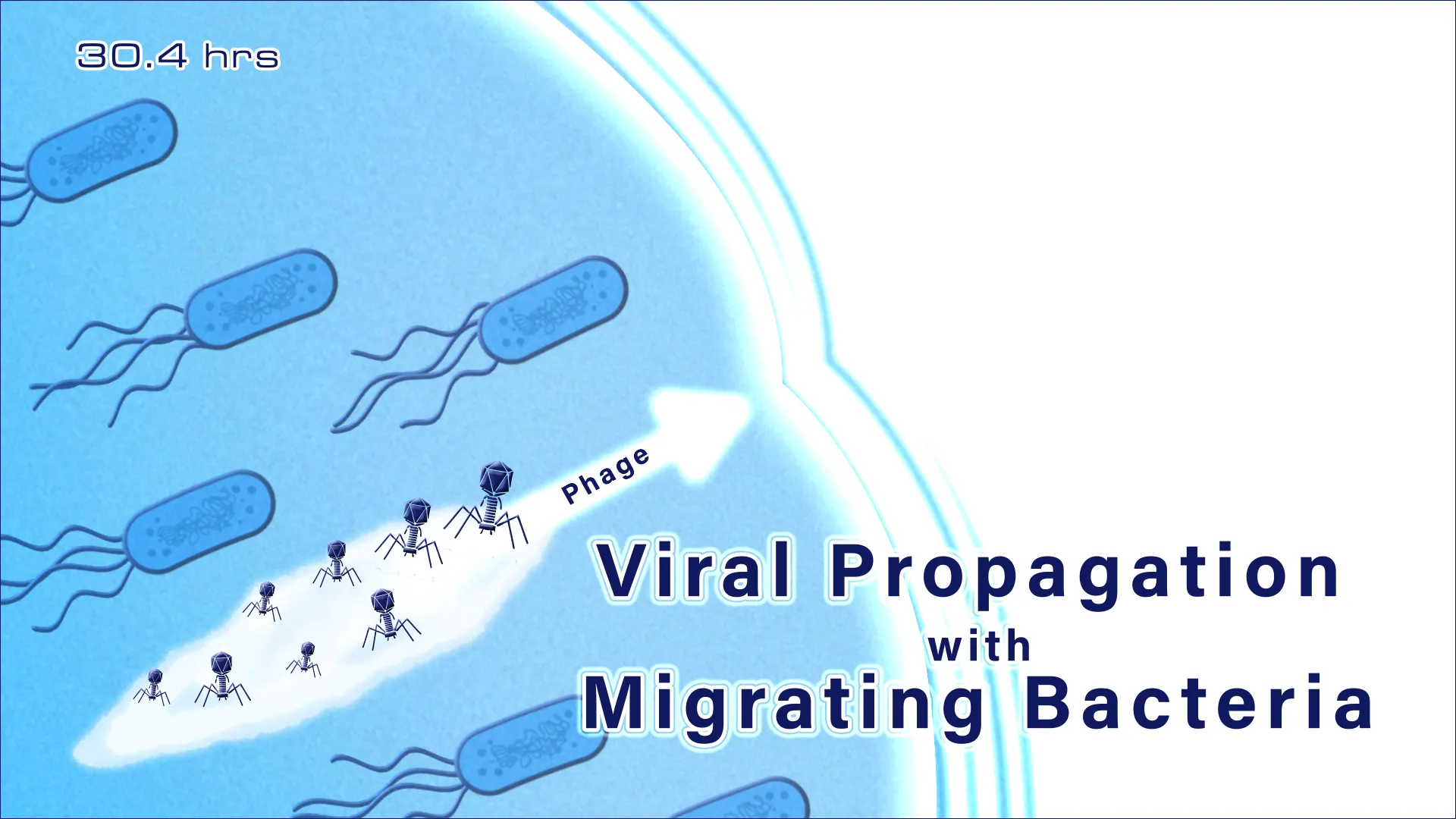 illustration of viral propagation with migrating bacteria